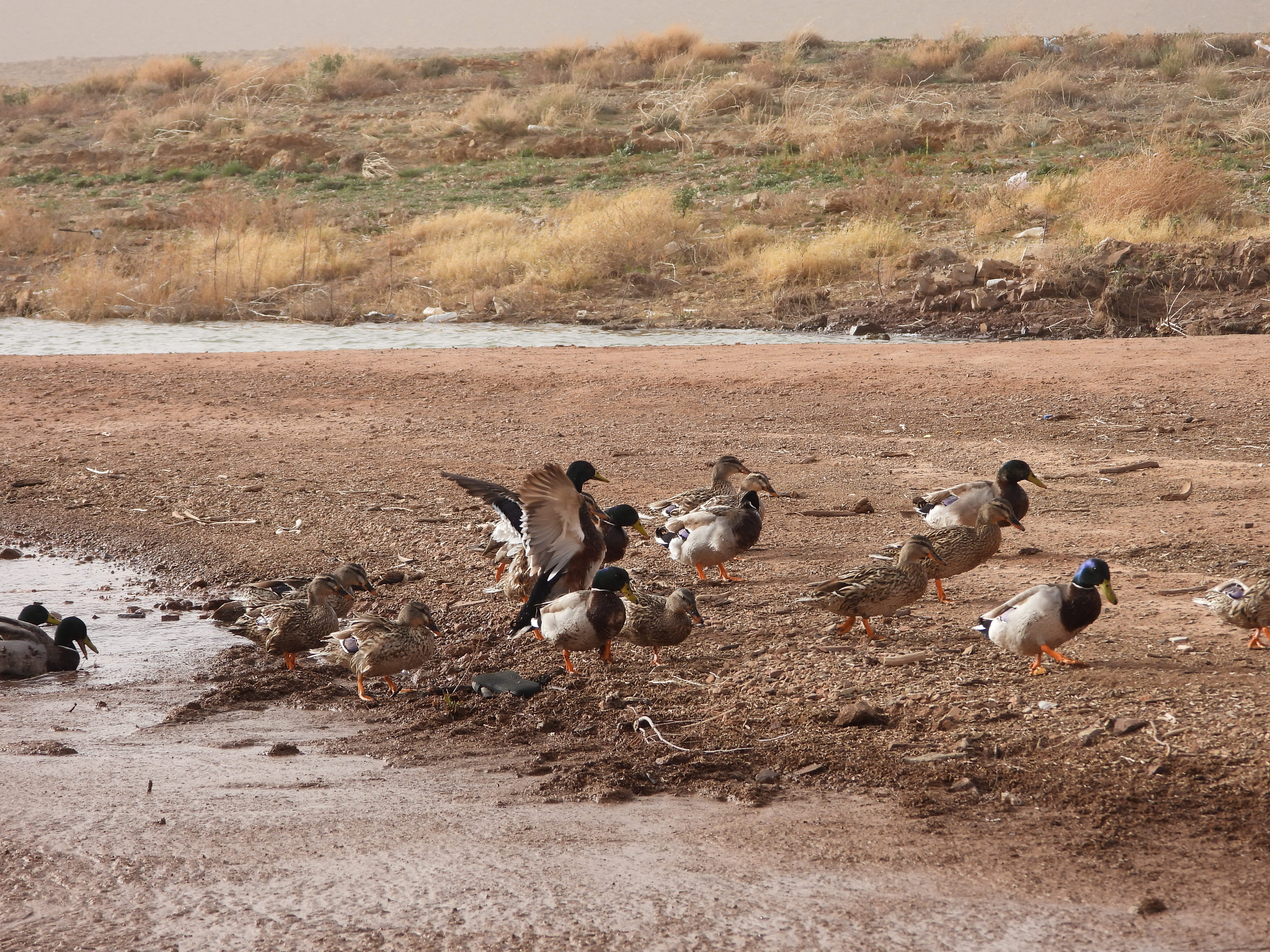 Gallery image 10